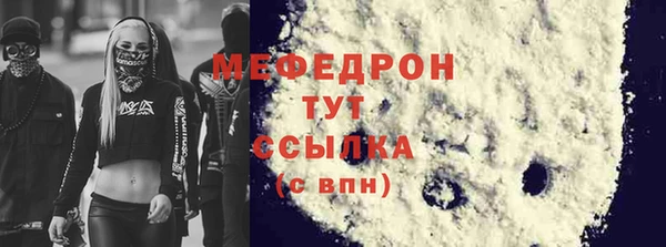 индика Богданович