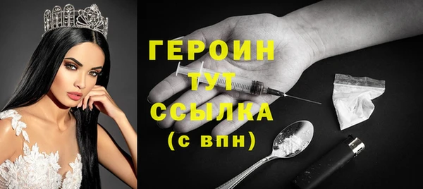 индика Богданович