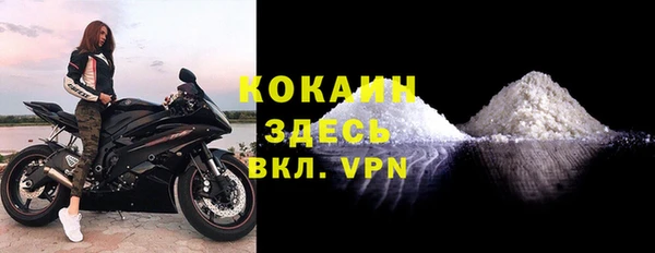 ECSTASY Богородицк