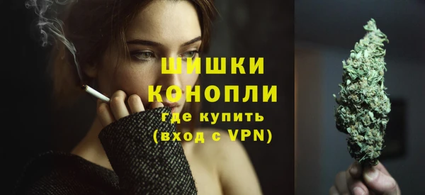 индика Богданович