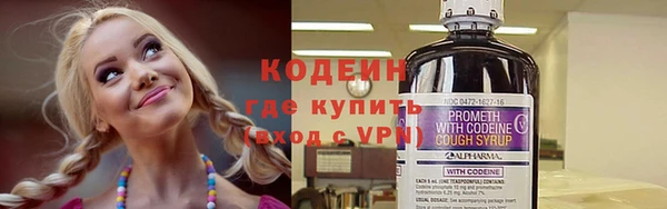 индика Богданович