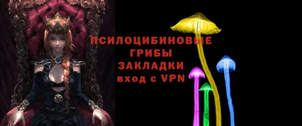 ECSTASY Богородицк