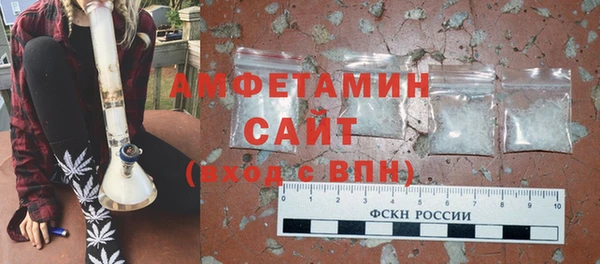 ECSTASY Богородицк