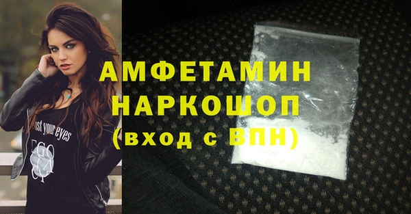 индика Богданович
