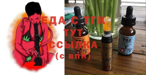индика Богданович