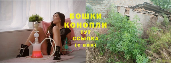 индика Богданович