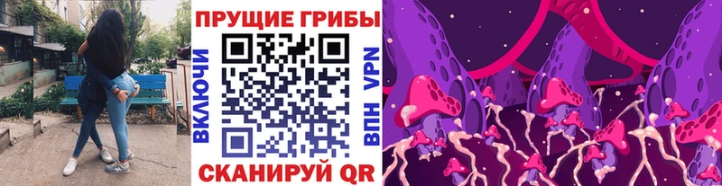 купить   Маркс  Галлюциногенные грибы Psilocybe 