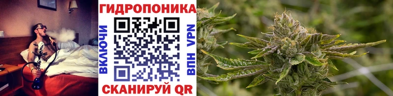 MEGA как войти Маркс Бошки Шишки гибрид